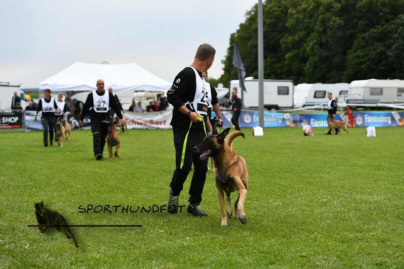 Impressionen 677.jpg